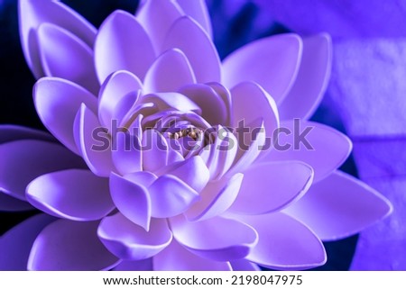 Selective focus on beautiful sacred lotus flower with white and purple leaves. Close up of lily pad or nelumbo. Pureness concept. Noise effect and grainy texture.	
