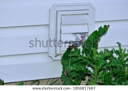 Selective focus on clogged and blocked dryer vent with large balls of lint stuck in the vent openings with the large weeds in front adding to the needed maintenance to keep vent clear.