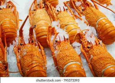 Selective Focus On Cooked Western Australia Rock Lobsters Display At Fish Market. Background Of Whole Lobster Ready To Takeaways