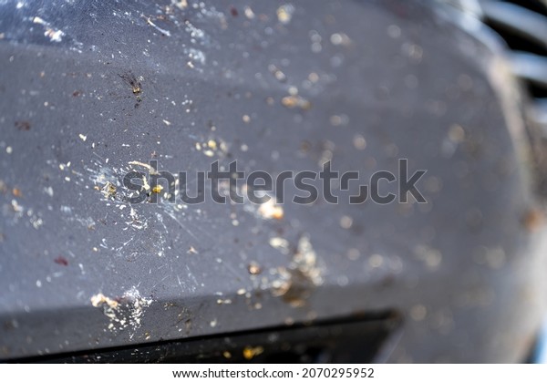 Selective focus on dead bugs splattered to the\
front grill and plates of a\
vehicle