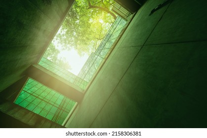 Selective Focus On Eco-friendly Building In Modern City. Sustainable Glass Office Building With Tree For Reducing Carbon Dioxide. Office Building With Green Environment. Corporate Building Reduce CO2.