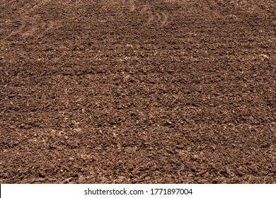 Selective Focus On Fertile Soil In Organic Agricultural Farm. Dirt Soil Ground In Farm. Tillage Black Soil Prepared For Planting Crop. Agriculture Plowed Field. Fertile Soil Texture Background.