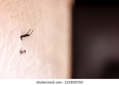 Selective Focus On Hole In A Residential Wall With Two Wires Sticking Out For Surround Sound Speakers.