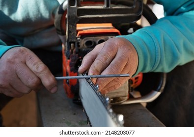 selective focus on a man's hands and an old electric saw. Man restores and sharpens the blades of an electric saw