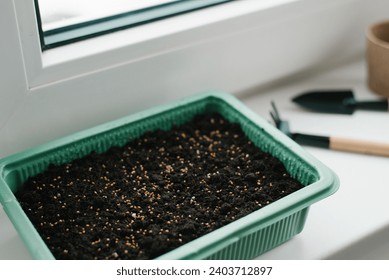 Selective focus on seeds in a green plastic stand for sowing peat moss seeds on the windowsill of the house