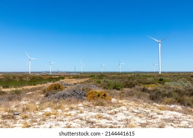 Selective Focus On A Semi Arid Desert Area, In The Background Is Wind Turbines And A Clear Blue Sky.