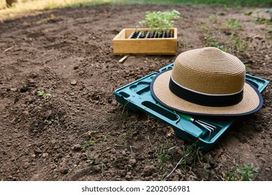 Selective Focus On A Straw Hat On A Box With Gardening Tools On Loose Ground, Against A Wooden Crate With Sprouted Tomato Seedlings On Blurred Background. Agriculture. Agricultural Hobby. Eco Farming