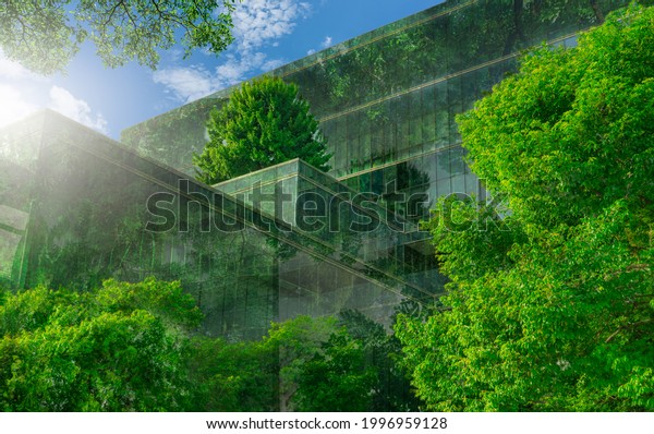 Selective focus on tree and eco friendly\
building with vertical garden in modern city. Green tree forest on\
sustainable glass building. Office building with green environment.\
Go green concept.