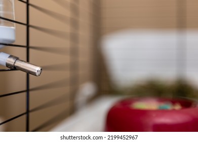 Selective Focus On A Water Bottle Mounted On The Bars Of A Small Animal Cage. 