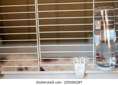 Selective Focus On A Water Bottle Mounted On The Bars Of A Small Animal Cage. 