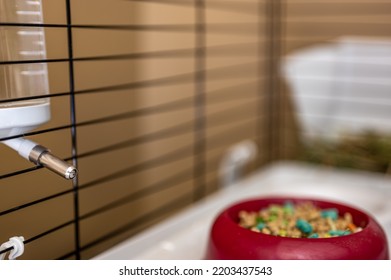 Selective Focus On A Water Bottle Mounted On The Bars Of A Small Animal Cage. 