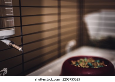 Selective Focus On A Water Bottle Mounted On The Bars Of A Small Animal Cage. 