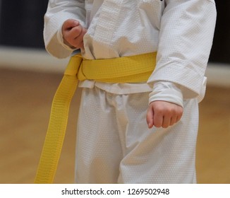 The Selective Focus Photo Of  Kid Yellow Belt Taekwando Training.