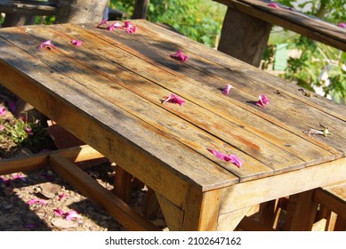 selective focus pink flower  wooden table floor under day light . - Shutterstock ID 2102647162