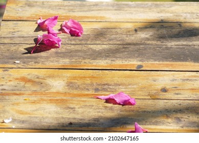 selective focus pink flower  wooden table floor under day light . - Shutterstock ID 2102647165