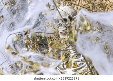 Selective focus,  plastic skeleton behind imitation spider web, fun decoration for Halloween or horror parties.