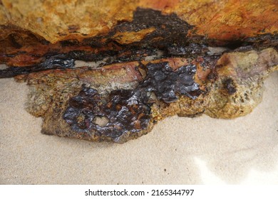 Selective Focus Raw Cassiterite Metallic Ore Of Tin Stuck On Rock. Natural Mineral From Geological.