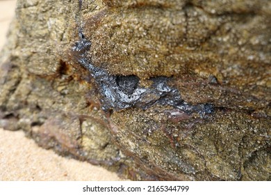 Selective Focus Raw Cassiterite Metallic Ore Of Tin Stuck On Rock. Natural Mineral From Geological.