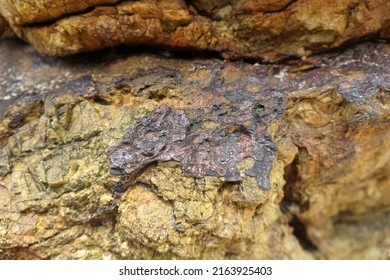 Selective Focus Raw Tin Metal Ore Stuck On The Rock.