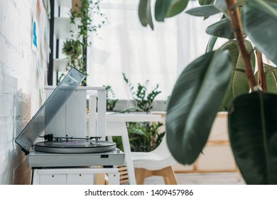 Selective Focus Of Record Player With Vinyl Disk In Room With Green Plants