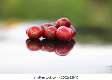selective focus of red coffee beans on a black background reflecting shadows