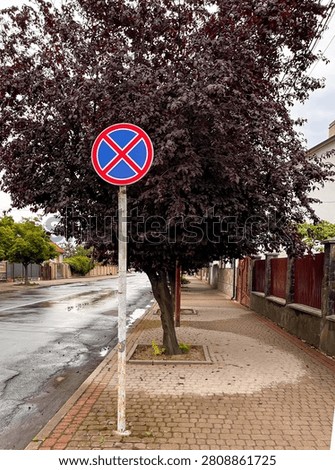 selective focus roadside no parking traffic sign beside urban sidewalk and tree