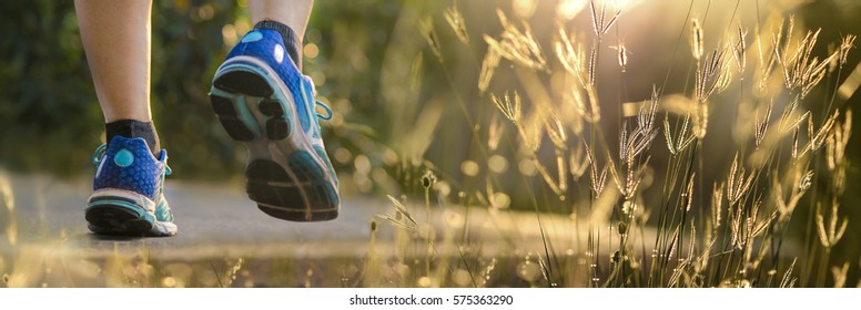 Selective focus of running shoes on nature trail with beautiful grass on golden light of the day. 
