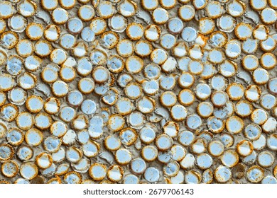 Selective focus of rusty crown cap. 