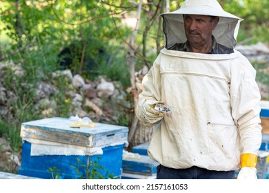Selective focus shot of beekeeper man in white protective suit holding box with queen bee and her assistants used in swarming.