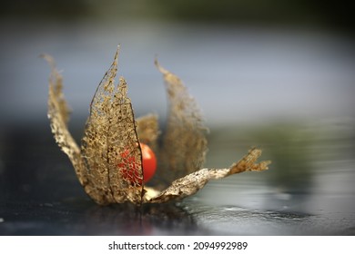 A Selective Focus Shot Of A Peruvian Groundcherry Physalis