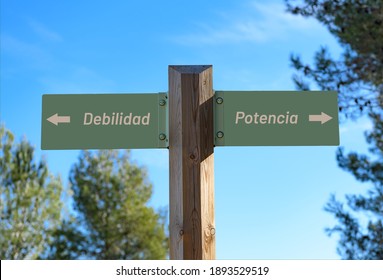 A selective focus shot of a way signpost with "Weakness" and "Power" writings in Span