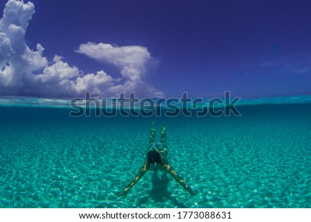 Similar – coral dive