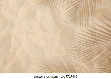 Selective Focus Of Summer And Holiday  Backgrounds Concepts With Shadow Of Coconut Leaf On Clean Sand Beach.copy Space