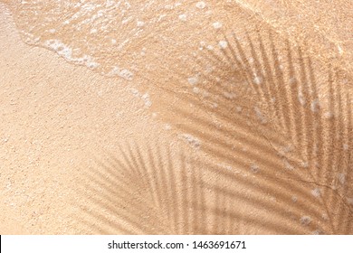 Selective Focus Of Summer And Holiday Backgrounds Concepts With Shadow Of Coconut Leaf On Clean Sand Beach.copy Space