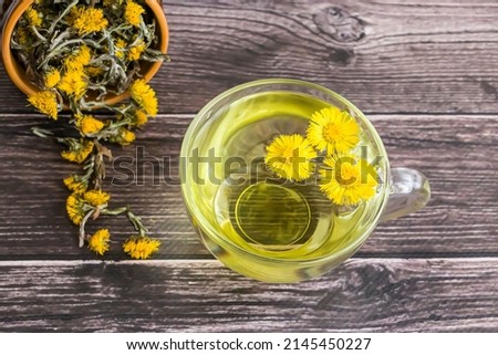 Selective focus. Tea from coltsfoot flowers (tussilago farfara) in a transparent glass cup. Dry flowers of coltsfoot (tussilago farfara). Medicinal plant Tussilago Farfara