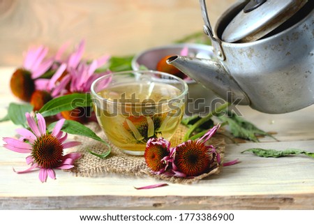 Similar – Image, Stock Photo Herbal tea on a sunny summer day