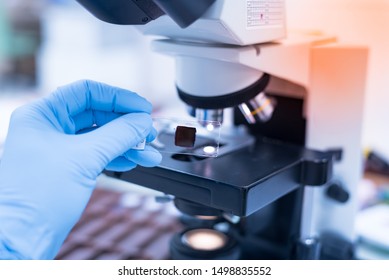 Selective focus technician hand holding microscope glass slide for scientist diagnosis and blurry microscope lens at cytology and pathology department in the hospital.