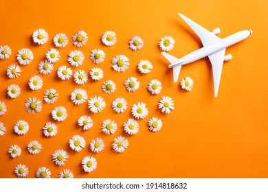 (Selective Focus) Top View Of An Airplane Model With Beautiful Daisy Flowers On An Orange Background. Concept Of Clean Emissions From Transport Sources.