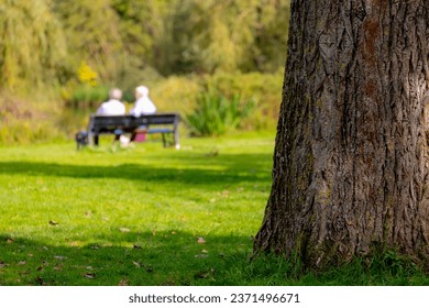 Selective focus of tree trunk with green grass meadow in the urban public park, Blurred two senior sitting on the bench talking and relaxing, Hobby and leisure activity of retirement age.