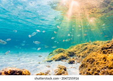 Beautiful View Of Mediterranean Seascape Stock Photo - Download