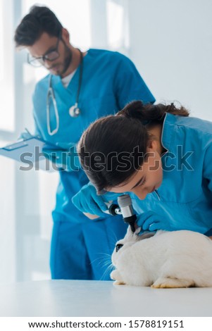 selective focus of veterinarian examining rabbit with otoscope while colleague writing prescription 