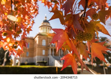 Selective focus view of liquid amber leaves framing the historic courthouse of Auburn, California, USA.