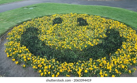 Selective focus view of smiley face arranged by planted yellow and black spring flower in the garden landscape. Happy face floral display
