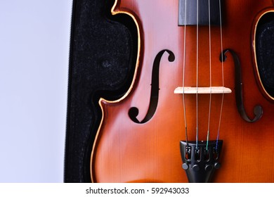 Selective focus of Violin in case on white background Isolated.