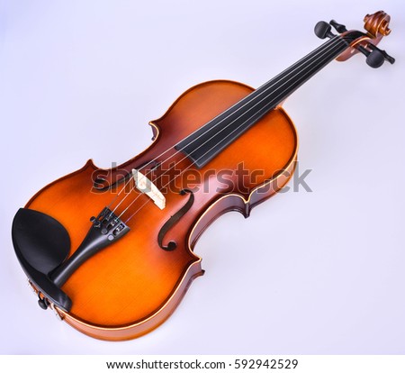 Selective focus of Violin on white background Isolated.