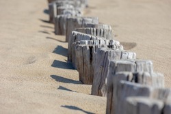 Selective Focus Of Wooden Wave Breaker Poles On The Beach, Row Of Groyne At Dutch North Sea Coastline In Summer, To Reduce The Wave Force And Erosion Of The Shore, North Holland, Netherlands.