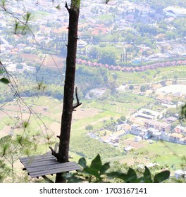 Selective Focus.city ​​view Below, Visible From The Forest Mountain