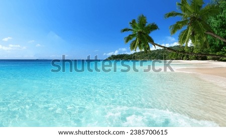 selective image of beach with palm tree and beautiful tropical sea