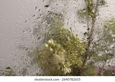 Selective soft focus Leaf, Flower spring twig through glass with wet water drops. Abstract natural blur background.