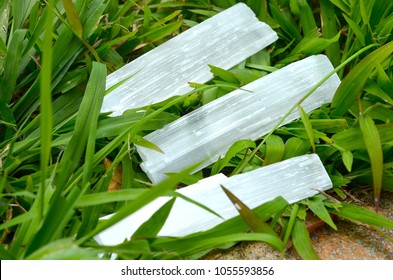 Selenite Rods In The Grass, Crystals In Nature. Crisp Bright Shot For Meditation.